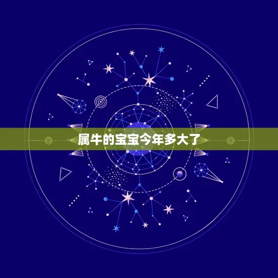 属牛的宝宝今年多大了