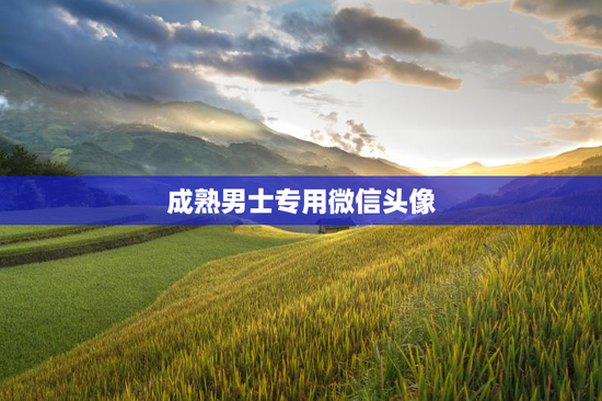 成熟男士专用微信头像