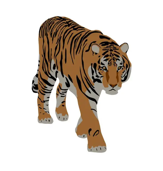 属马女是属虎男的贵人吗(解析属马女与属虎男的缘分)