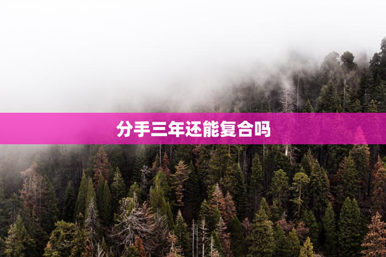 分手三年还能复合吗