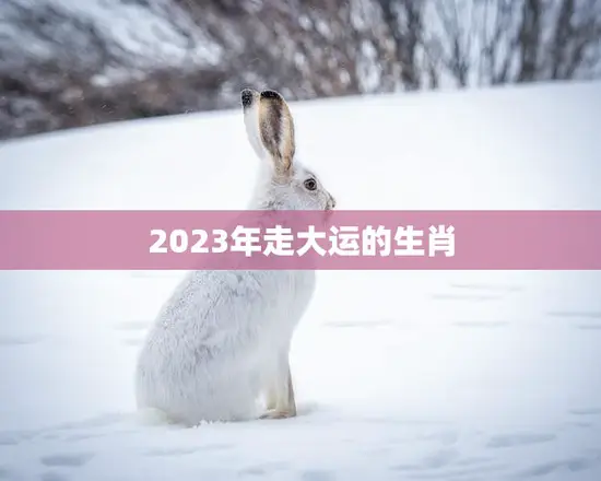 2023年走大运的生肖(猪、兔、龙谁将成为幸运之星)