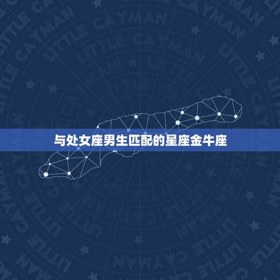 与处女座男生匹配的星座金牛座