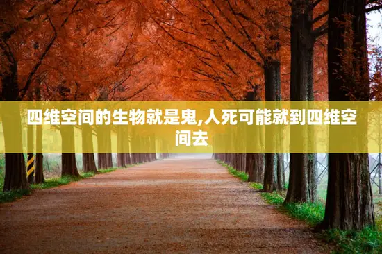 四维空间的生物就是鬼,人死可能就到四维空间去