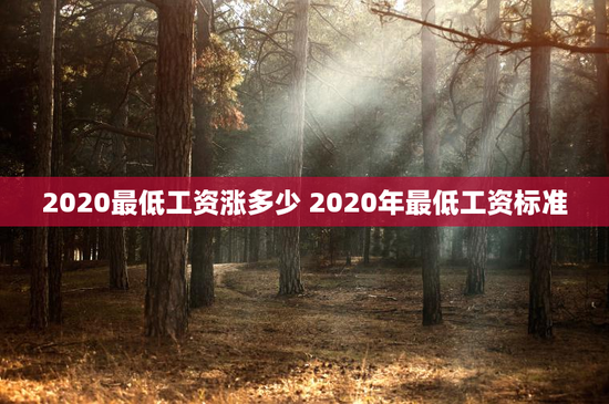 2020最低工资涨多少 2020年最低工资标准