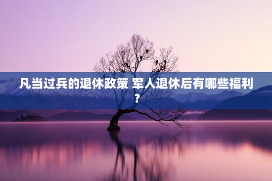 凡当过兵的退休政策 军人退休后有哪些福利？