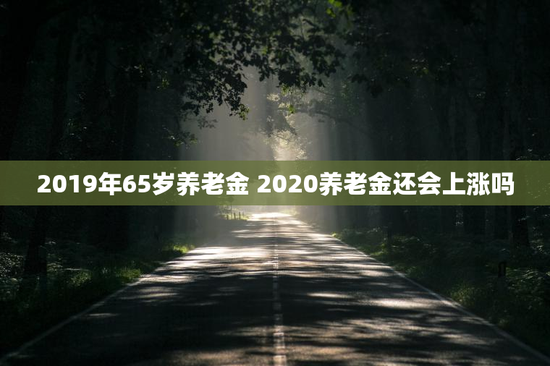 2019年65岁养老金 2020养老金还会上涨吗