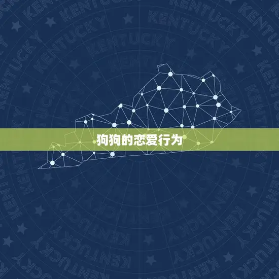 狗狗的恋爱行为