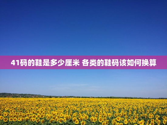 41码的鞋是多少厘米 各类的鞋码该如何换算