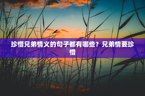 珍惜兄弟情义的句子都有哪些？兄弟情要珍惜