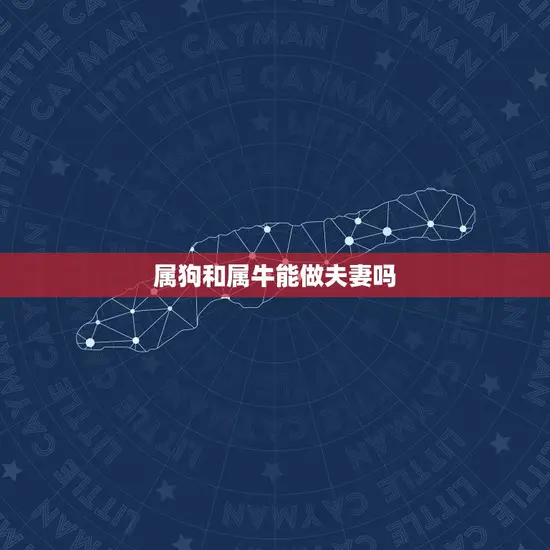 属狗和属牛能做夫妻吗