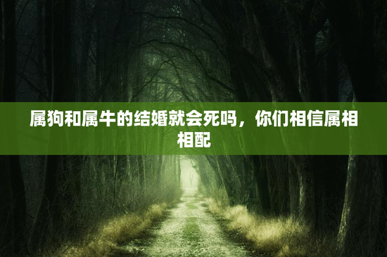 属狗和属牛的结婚就会死吗，你们相信属相相配