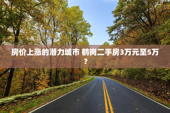 房价上涨的潜力城市 鹤岗二手房3万元至5万？