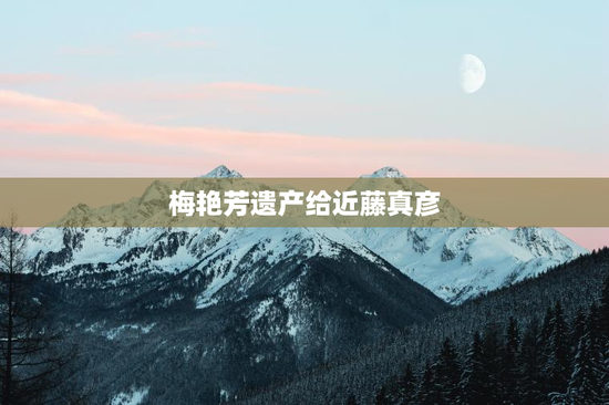 梅艳芳遗产给近藤真彦