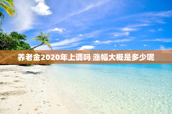 养老金2020年上调吗 涨幅大概是多少呢