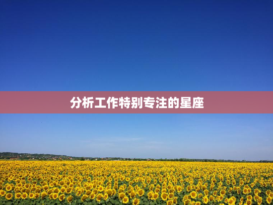 分析工作特别专注的星座