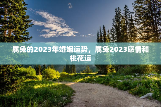 属兔的2023年婚姻运势，属兔2023感情和桃花运