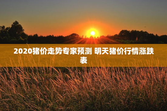 2020猪价走势专家预测 明天猪价行情涨跌表