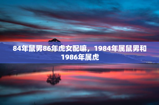84年鼠男86年虎女配嘛，1984年属鼠男和1986年属虎