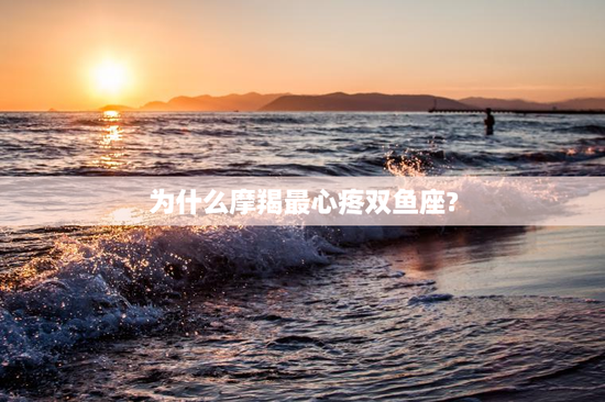 为什么摩羯最心疼双鱼座?