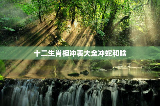 十二生肖相冲表大全冲蛇和啥，十二生肖相冲相和