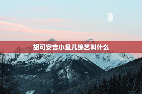 胡可安吉小鱼儿综艺叫什么