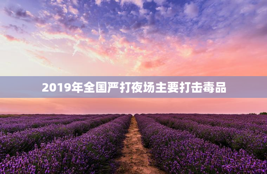 2019年全国严打夜场主要打击毒品