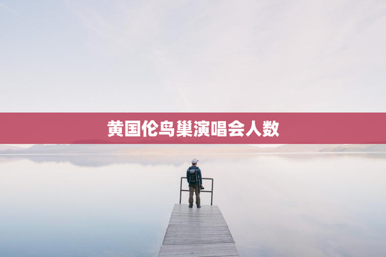 黄国伦鸟巢演唱会人数