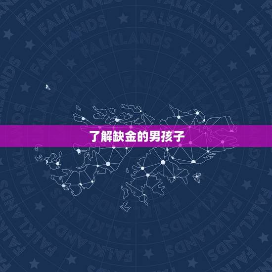 了解缺金的男孩子