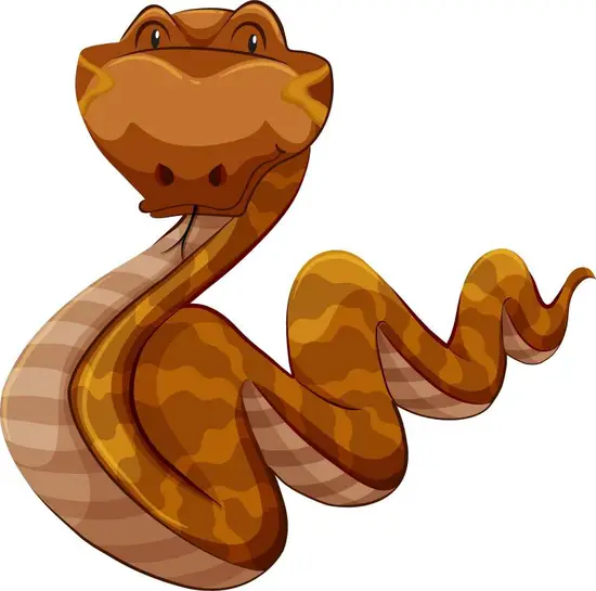 二O二三年属蛇人的运势(蛇行运转财富与事业齐飞)