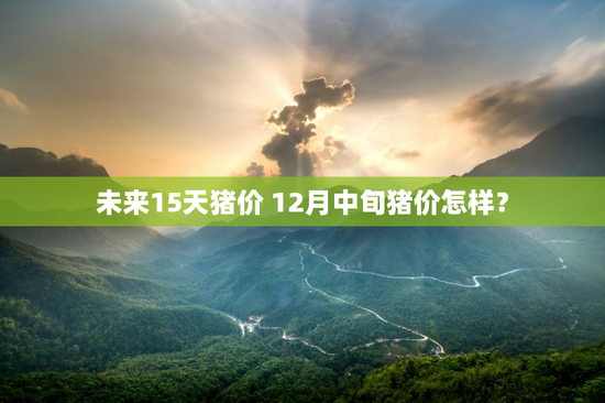 未来15天猪价 12月中旬猪价怎样？