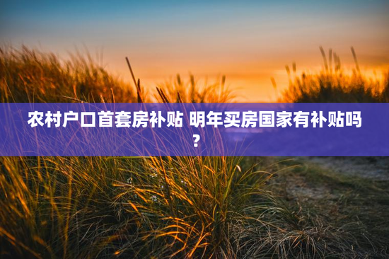 农村户口首套房补贴 明年买房国家有补贴吗？