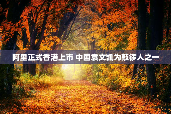 阿里正式香港上市 中国袁文凯为敲锣人之一