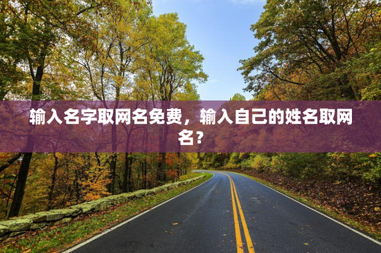 输入名字取网名免费，输入自己的姓名取网名？