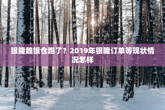 银隆魏银仓跑了？2019年银隆订单等现状情况怎样