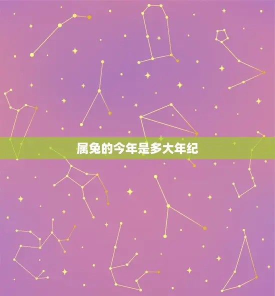 属兔的今年是多大年纪