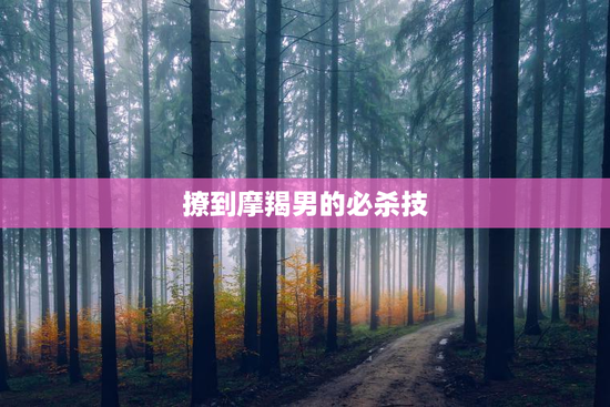 撩到摩羯男的必杀技