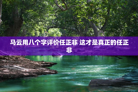 马云用八个字评价任正非 这才是真正的任正非