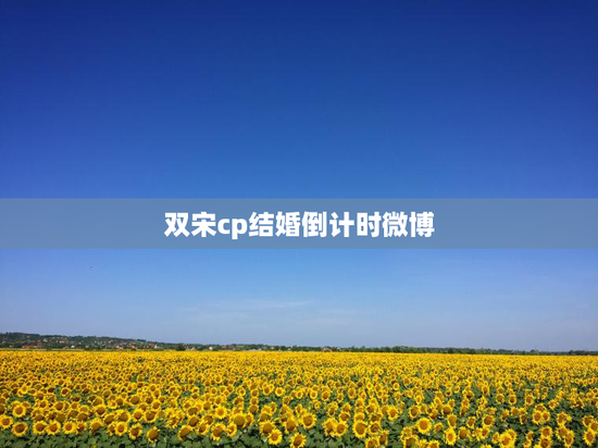双宋cp结婚倒计时微博