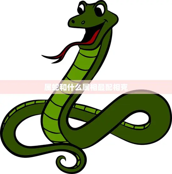 属蛇和什么属相最配相克(如何避免相克找到最佳配对)