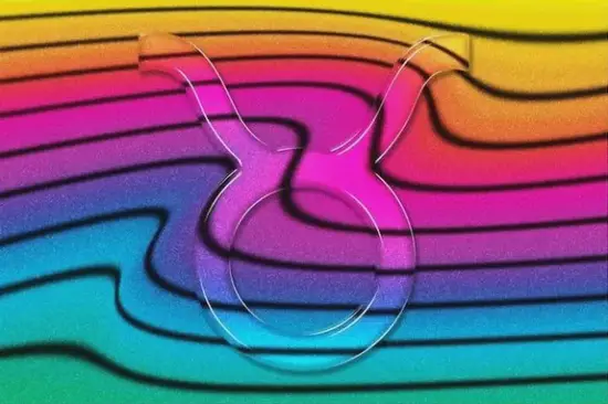 金牛座最佳配对视觉分析