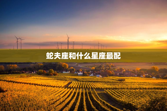 蛇夫座和什么星座最配