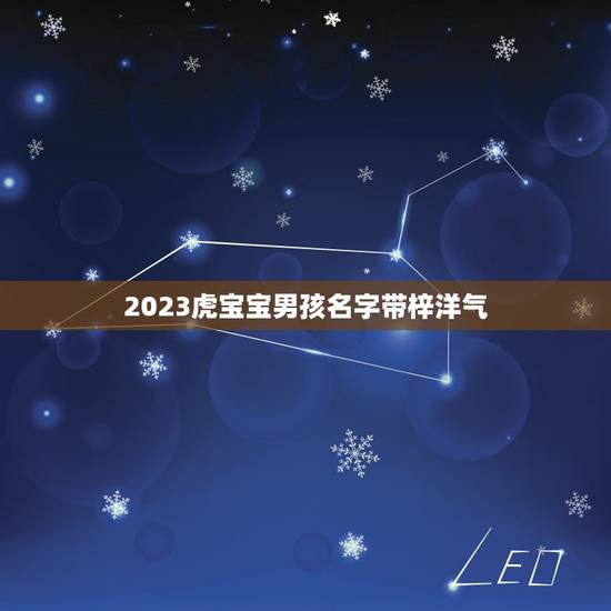 2023虎宝宝男孩名字带梓洋气(如何选择名字)