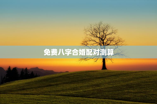 免费八字合婚配对测算，免费查两个人生辰八字合不合