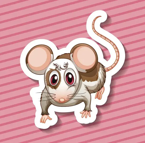 属鼠射手座女生性格特点(自由奔放的独立女性)