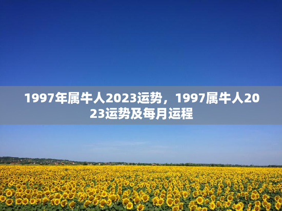 1997年属牛人2023运势，1997属牛人2023运势及每月运程