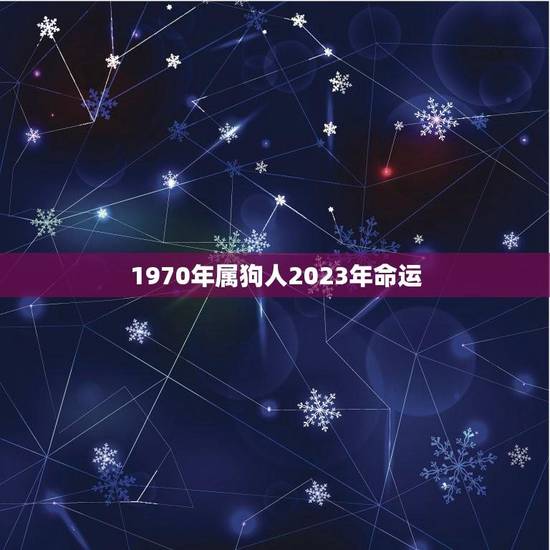 1970年属狗人2023年命运(展望财运亨通事业有成)