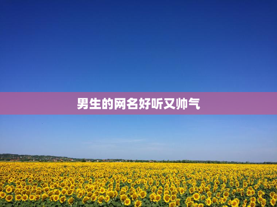 男生的网名好听又帅气