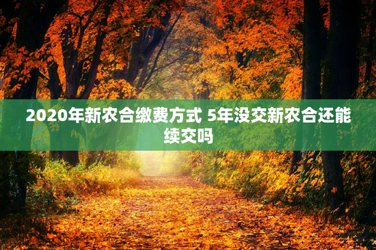 2020年新农合缴费方式 5年没交新农合还能续交吗
