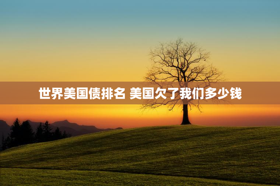 世界美国债排名 美国欠了我们多少钱