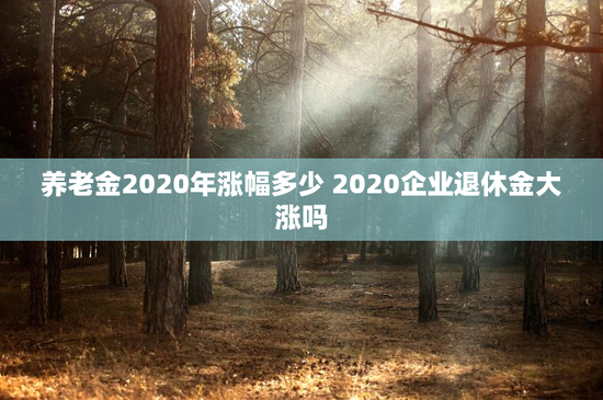 养老金2020年涨幅多少 2020企业退休金大涨吗